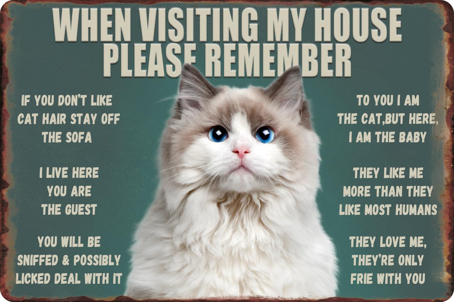 Bathroom Home Visit - Papan Tanda Logam Kucing Lucu -