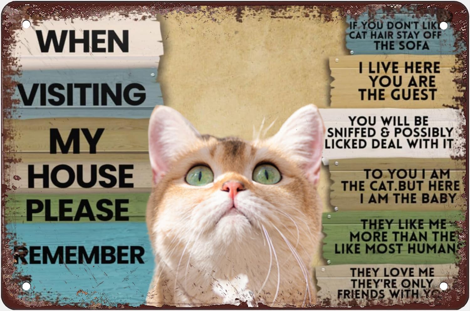 Bathroom Home Visit - Tanda Logam Kucing 'Saat Mengunjungi Rumahku