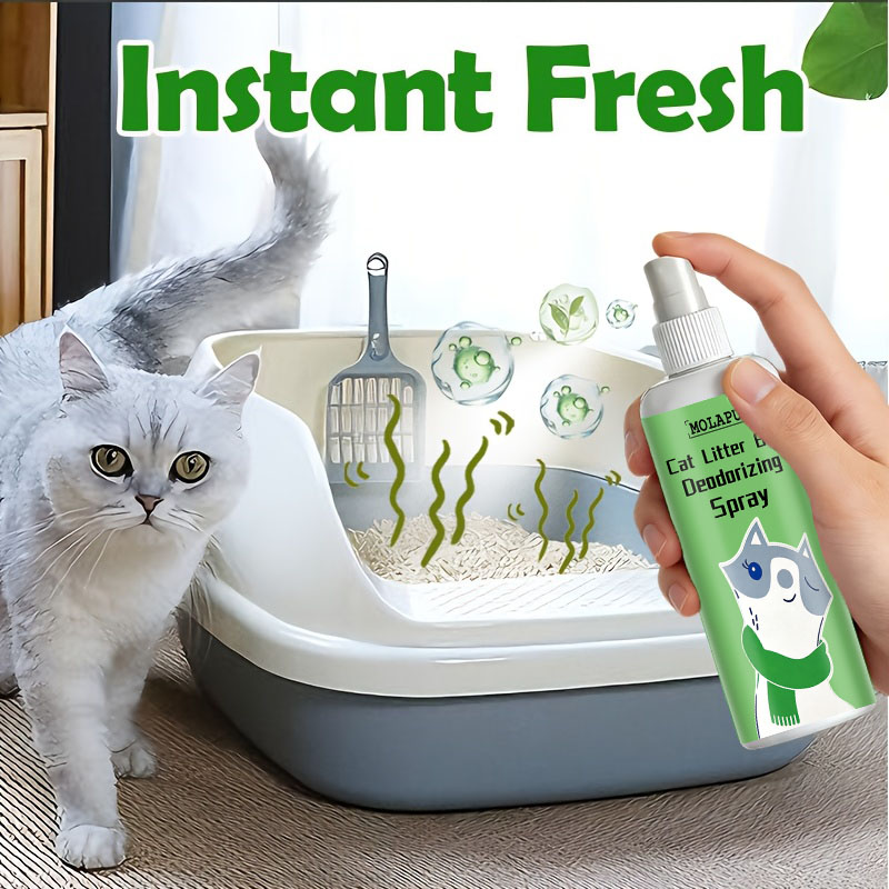 Home Bathroom With Urinal - Semprotan Penghilang Bau Kotoran Kucing -