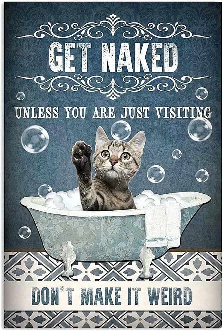 Bathroom Home Visit - Papan Tanda Logam Kamar Mandi Kitten,