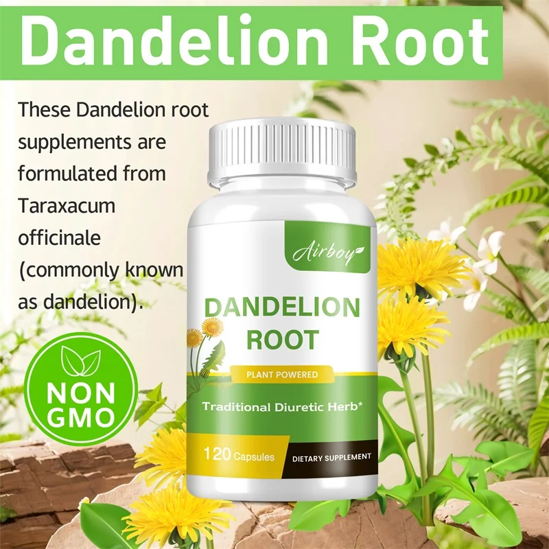 Kapsul Akar Dandelion - Dukung - Home Bathroom With Urinal ulasan dan harga